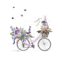 Opakowanie Karnet Swarovski kwadrat CL2415 Rower