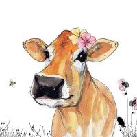 Opakowanie Karnet Swarovski kwadrat Krowa