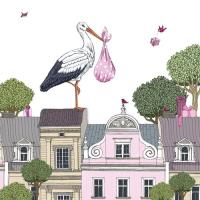 Opakowanie Karnet Swarovski kwadrat Narodziny dziewczynka bocian