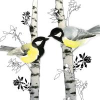 Opakowanie Karnet Swarovski kwadrat Ptaszki na drzewach