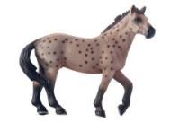 Opakowanie Koń Appaloosa