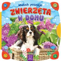 Maluch poznaje zwierzęta w domu. Autor: Opracowanie zbiorowe. SmakLiter.pl Okładka książki Maluch poznaje zwierzęta w domu