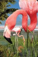 Opakowanie Minikartka 3D - Flaming