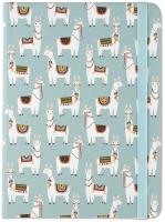 Opakowanie Notatnik midi Lamy