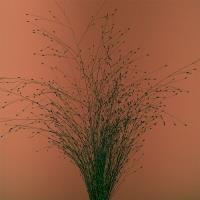 Tak mi się nie chce. Mikromusic CD. Autor: Mikromusic. SmakLiter.pl Okładka książki Tak mi się nie chce. Mikromusic CD