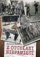 Z otchłani niepamięci. Autor: Robert Radzik. SmakLiter.pl Okładka książki Z otchłani niepamięci