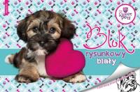 Opakowanie Blok rysunkowy biały A4 20 kartek Sweet Pets 10 sztuk