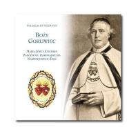 Boży Gorliwiec - Audiobook. Autor: Hunermann Wilhelm. SmakLiter.pl Okładka książki Boży Gorliwiec - Audiobook