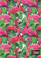 Opakowanie Brulion A4/96# St.Right QR-2296 oprawa twarda