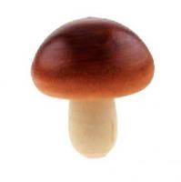 Opakowanie Drewniane grzybki