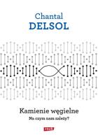 Kamienie węgielne Na czym nam zależy?. Autor: Delsol Chantal. SmakLiter.pl Okładka książki Kamienie węgielne Na czym nam zależy?