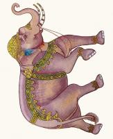 Opakowanie Karnet 17x14cm z kopertą Royal elephant