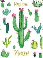 Opakowanie Karnet B6 Kaktusy