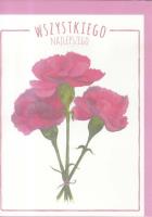 Opakowanie Karnet B6 Kwiaty akwarela. Goździk