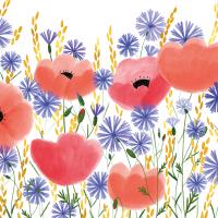 Okładka książki Karnet B6 Kwiaty maki