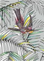 Opakowanie Karnet B6 z kopertą Sunbird