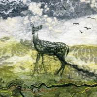 Opakowanie Karnet kwadrat z kopertą Deer