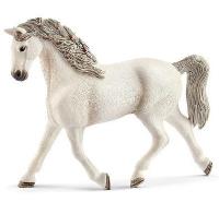 Opakowanie Klacz rasy Holszyńskiej