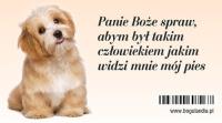 Opakowanie Magnes na lodówkę Panie Boże spraw, abym był takim