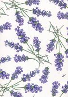 Okładka książki Notatnik ozdobny A5