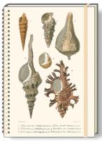 Opakowanie Notatnik ozdobny A5 koło BR (NB 012C)