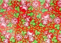 Opakowanie Pocztówka - Nr.21 Góralska czerwona FOLKSTAR