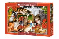 Opakowanie Puzzle 1500 Kittens Play Time