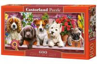 Puzzle 600 Puppies on a Shelf. Wydawca: Castorland. SmakLiter.pl Opakowanie Puzzle 600 Puppies on a Shelf