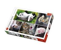 Opakowanie Puzzle Kocie sprawy - kolaż 1500