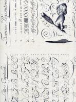 Opakowanie Teczka na dokumenty A4 FF 536A