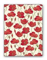 Opakowanie Teczka na dokumenty FF 683B