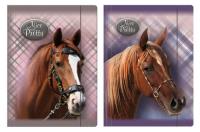 Opakowanie Teczka z gumką A4 Nice And Pretty mix