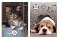 Opakowanie Teczka z gumką A4 The Sweet Pets mix