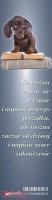 Opakowanie Zakładka do książki- Nie można cofnąć się w czasie
