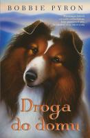 Okładka książki Droga do domu