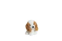 Opakowanie Molli Toys Piesek Cocker Spaniel 17 cm