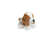 Opakowanie Molli Toys Piesek Cocker Spaniel 30 cm