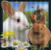 Opakowanie Pocztówka 3D Królik