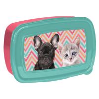 Opakowanie Śniadaniówka Dog & Cat