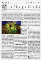 Wielkopoliska. Autor: Borkowski Michał. SmakLiter.pl Okładka książki Wielkopoliska