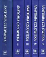 Opakowanie Anatomia człowieka 1-5