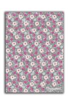 Opakowanie Błyszczący Pamiętnik Rachael Hale RLA-3660