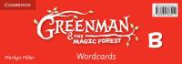 Greenman and the Magic Forest B Wordcards (Pack of 48). Autor: Miller Marilyn. SmakLiter.pl Okładka książki Greenman and the Magic Forest B Wordcards (Pack of 48)