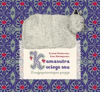 Kamasutra Kociego Snu. Autor: Przemek Wechterowicz, Kasia Walentynowicz. SmakLiter.pl Okładka książki Kamasutra Kociego Snu