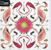 Opakowanie Karnet kwadrat z kopertą Greater Flamingo