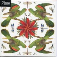 Opakowanie Karnet kwadrat z kopertą Red-winged Parrot