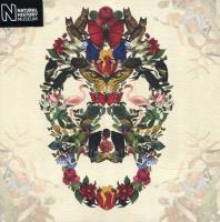 Opakowanie Karnet kwadrat z kopertą Skull of Life