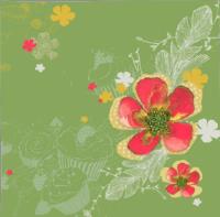 Okładka książki Karnet Swarovski kwadrat CL2902_BL Kwiaty oliwkowy