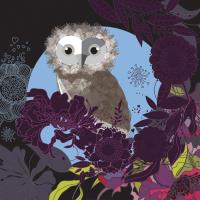 Opakowanie Karnet Swarovski kwadrat Sowa