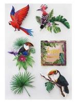 Opakowanie Naklejki 3D samoprzylepne Ptaki Dźungla 6 sztuk